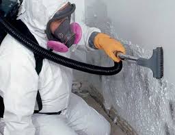 Professional Mold Removal & Remediation in Oreana, IL